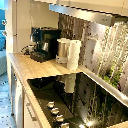 Jagdschloesschen-harz Bad Sachsa