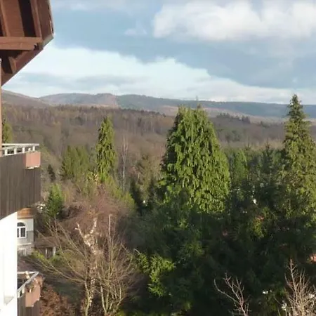 Jagdschloesschen-harz Apartment Bad Sachsa